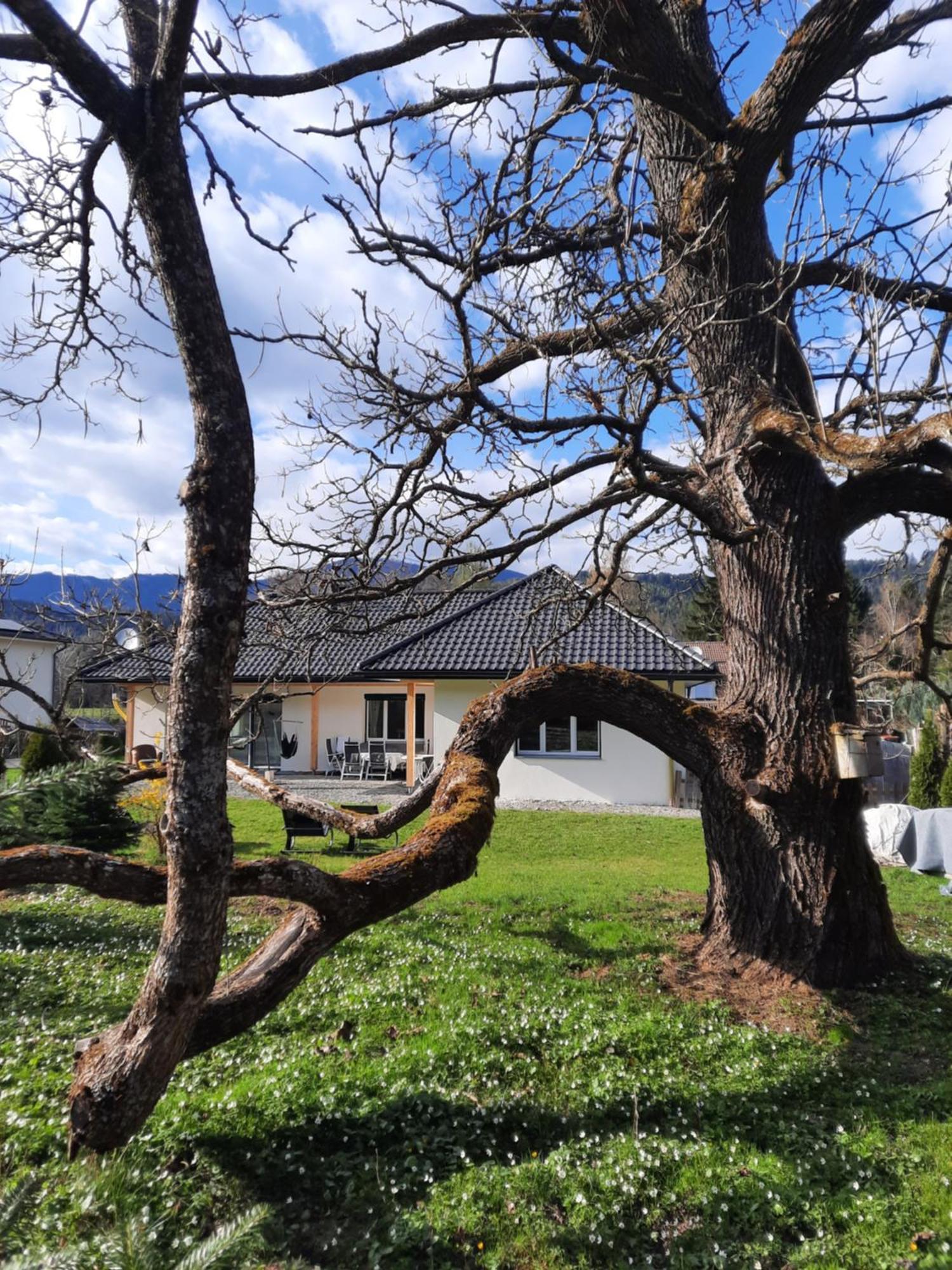 Chalet Damtschach Eksteriør bilde